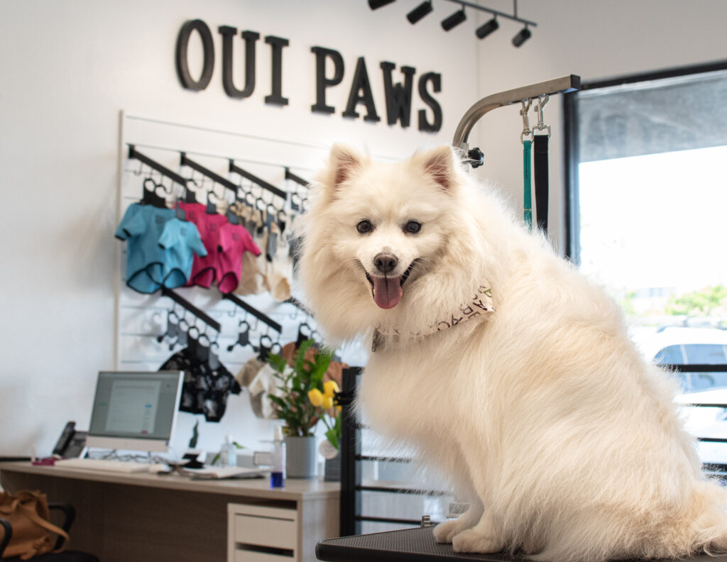 Dog Grooming Huntington Beach